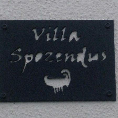 Villa Spozendus Esposende Kültér fotó