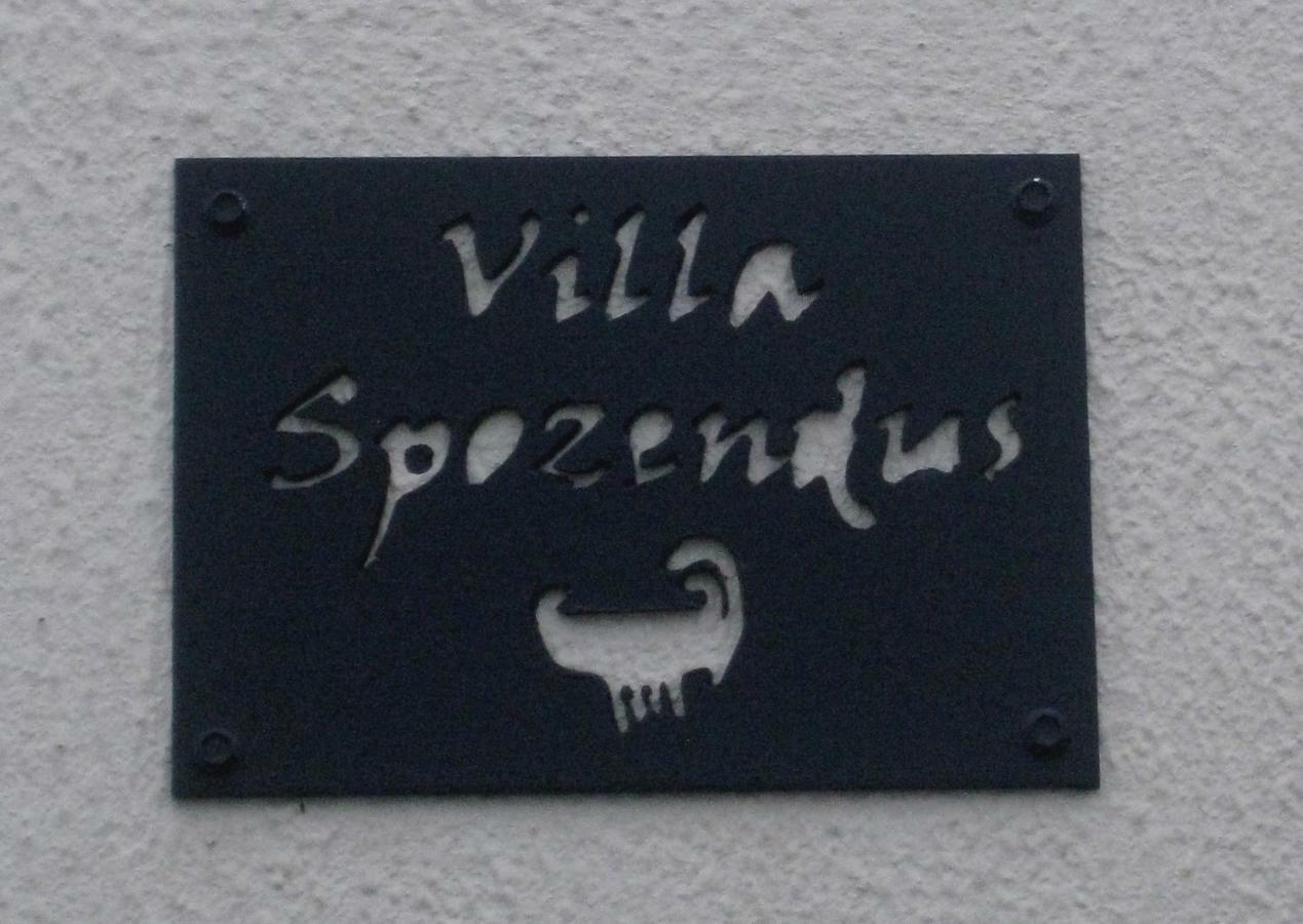 Villa Spozendus Esposende Kültér fotó